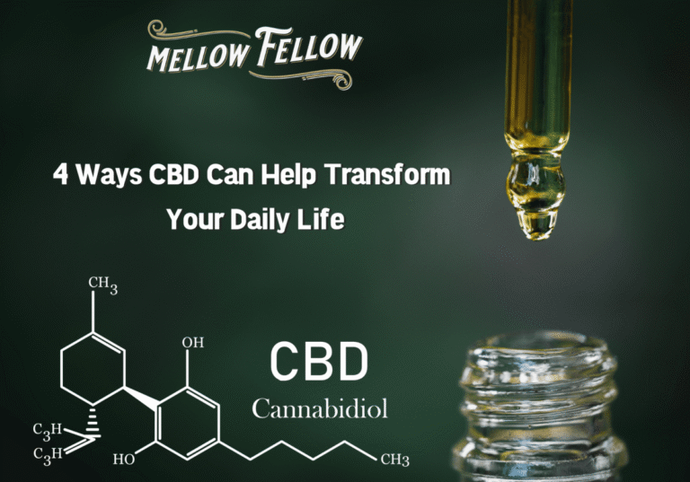 4 Ways CBD Can Help Transform Your Daily Life - Mellow Fellow