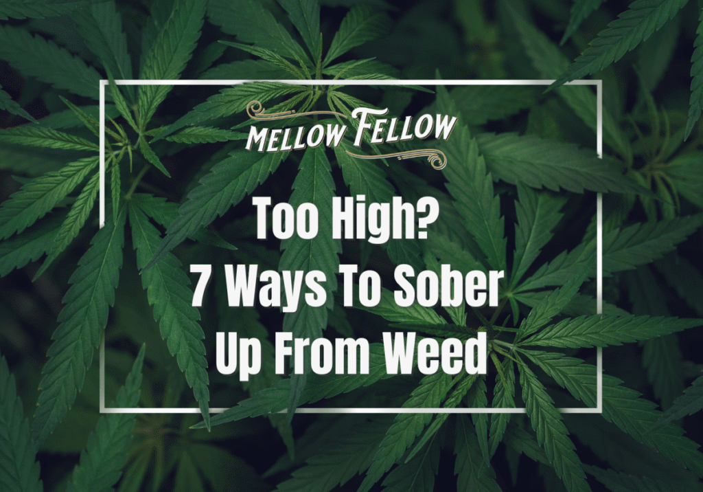 Too High? 7 Ways To Sober Up From Weed - Mellow Fellow