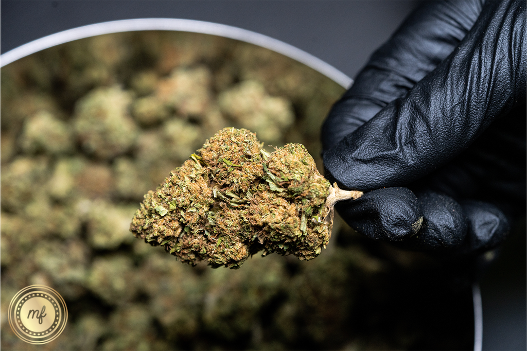 Best Strains for Entourage Effect