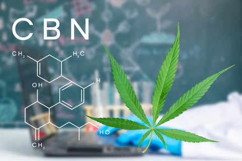 What is CBN