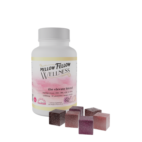 Mellow Fellow Elevate Wellness Gummies.