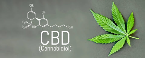CBD hemp products display