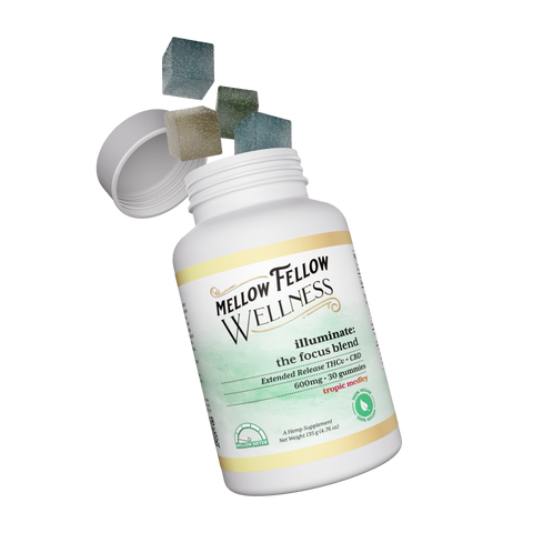 A container of Mellow Fellow WELLNESS illuminate with focus blend, gummies falling in