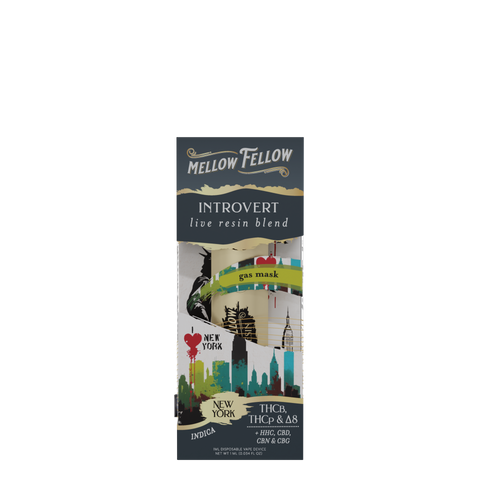 A pack of Mellow Fellow INTROVERT live resin blend with New York Gas Mask flavor