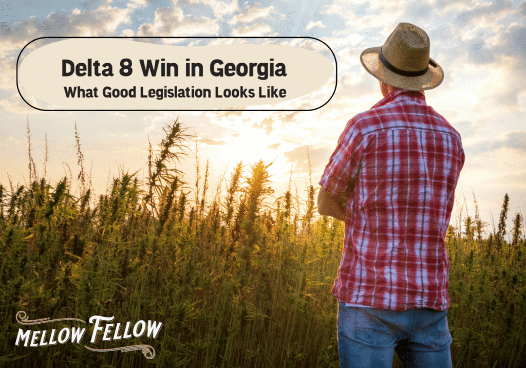 Delta 8 Win In Georgia - What Good Legislation Looks Like - Mellow Fellow