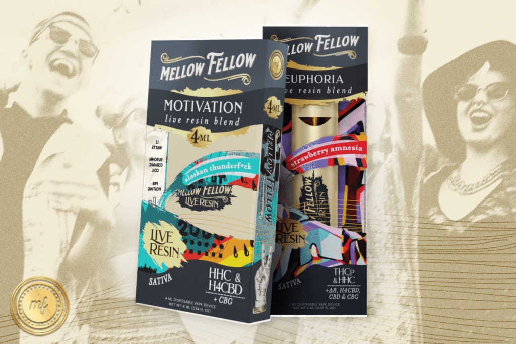 5 Best Strains for Being at a Festival - Mellow Fellow