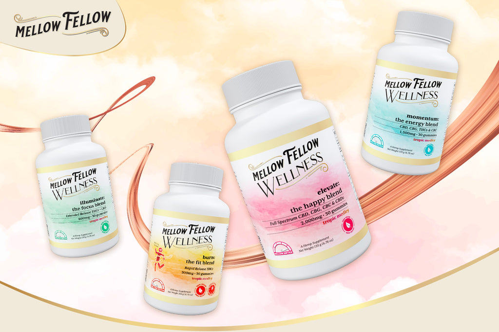 Four different flavored Mellow Fellow WELLNESS gummies- Illuminate, Burn, Elevate, and Momentum placed against a bright background