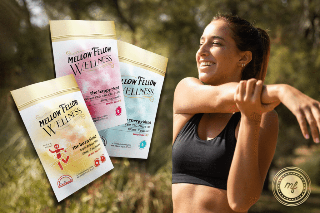 World Health Day: Celebrating Wellness and Balance with Mellow Fellow - Mellow Fellow