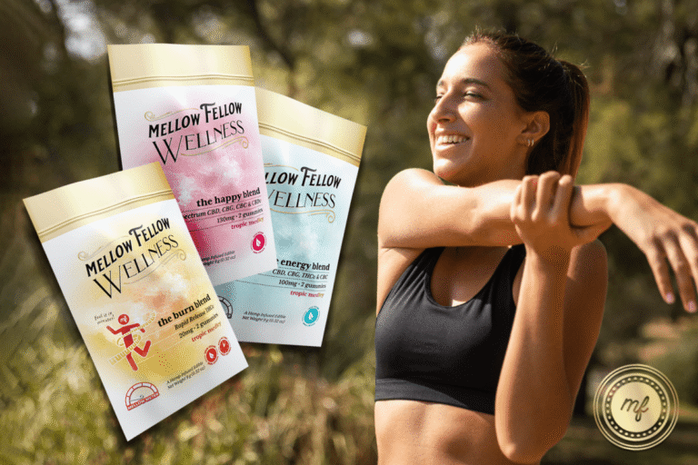 World Health Day: Celebrating Wellness and Balance with Mellow Fellow - Mellow Fellow