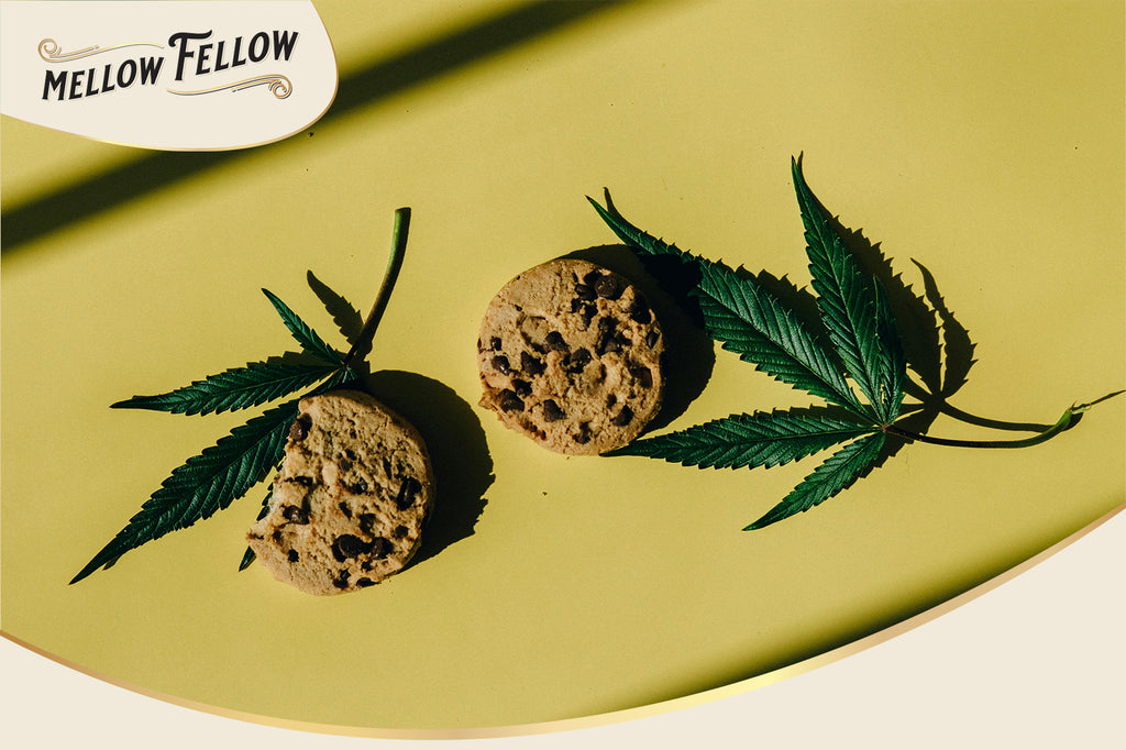 Chocolate chip cookies with cannabis leaves on a yellow surface, branded by Mellow Fellow