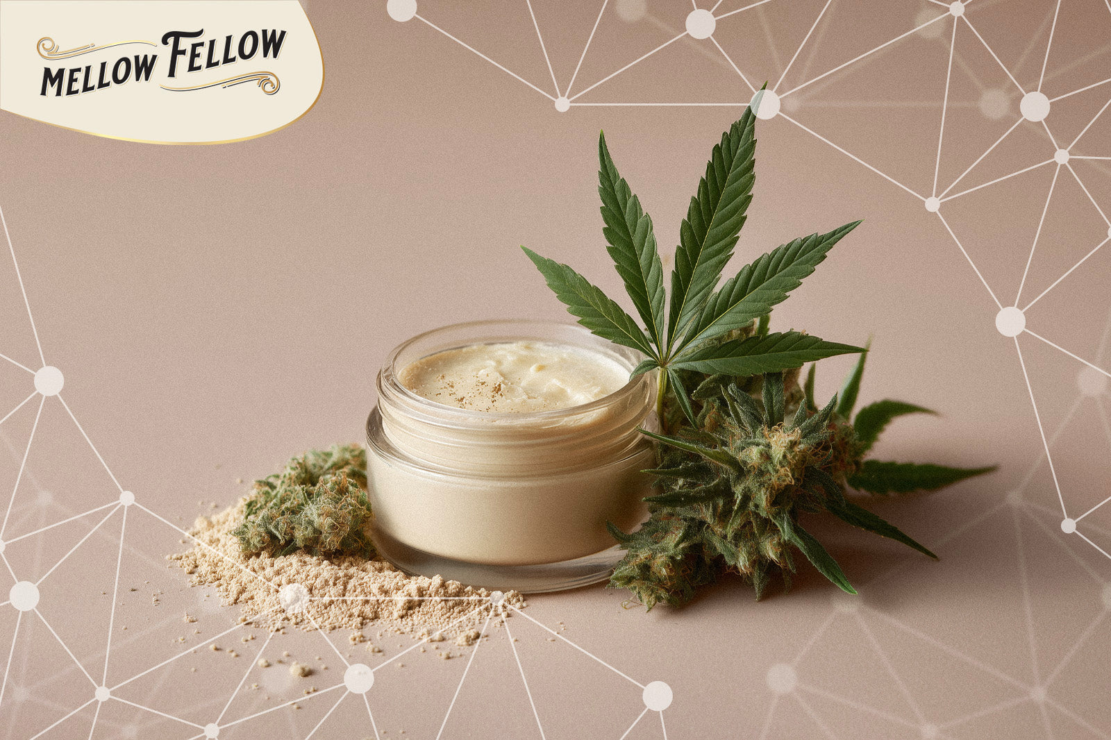 Marijuana buds and extract