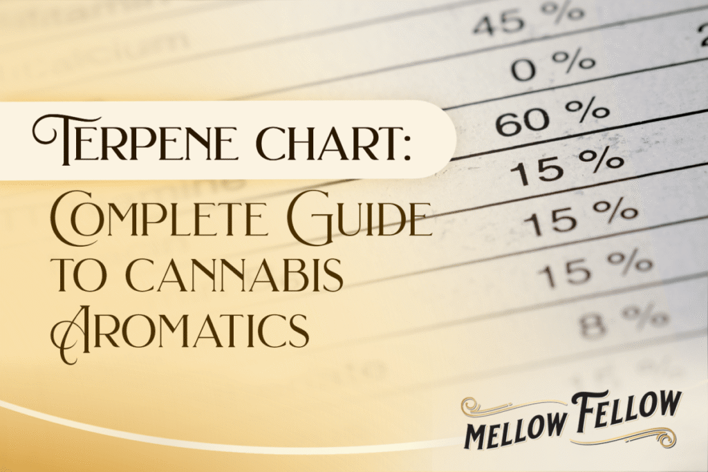 How to Read a Terpene Chart: Your Complete Guide to Cannabis Aromatics - Mellow Fellow