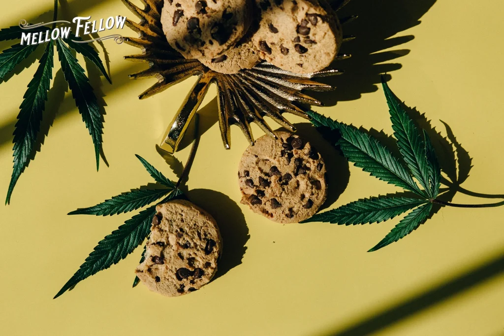 how-to-make-edibles-concentrates-dabs-1