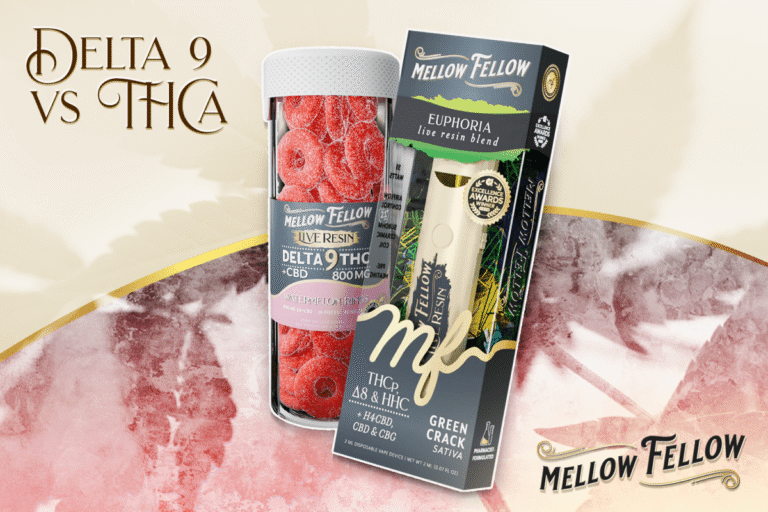 Delta 9 vs. THCa: Knowing Which Is Right for You - Mellow Fellow