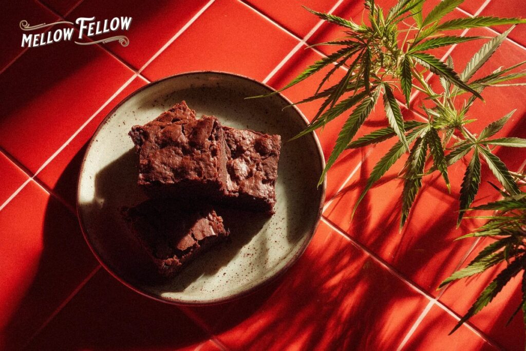 How to Make Edibles with Flower: Your Kitchen Cannabis Chemistry Guide (No Lab Coat Required) - Mellow Fellow
