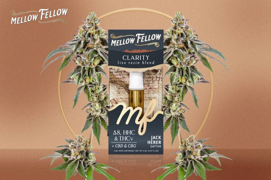 Jack Herer Strain Review: The Legendary Sativa for Focus and Creativity - Mellow Fellow