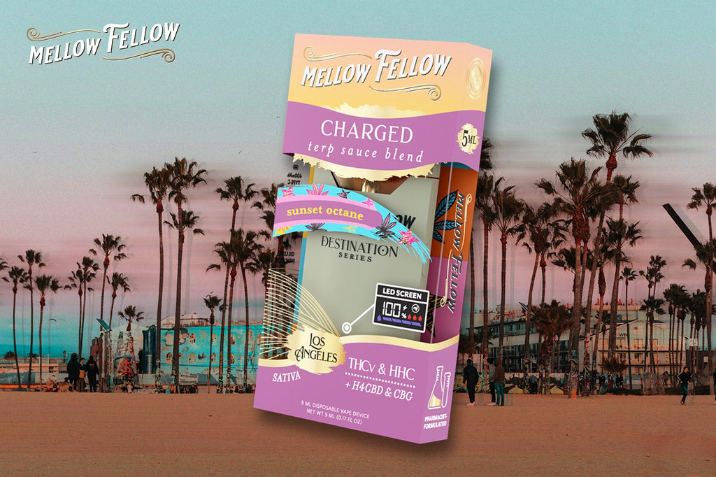A Mellow Fellow CHARGED Destination Series vape device with Sunset Octane flavor, placed in front of a sea beach and some palm trees