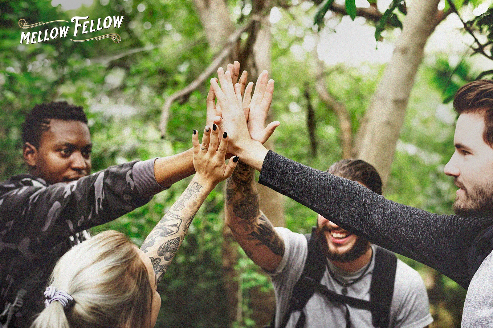 Using cannabis on world mental health day