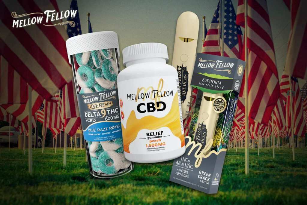 Honoring Veterans Day 2025: Wellness Support for Those Who Served - Mellow Fellow