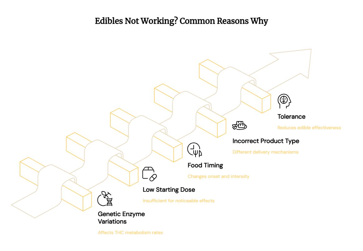 Why Edibles Aren't Working