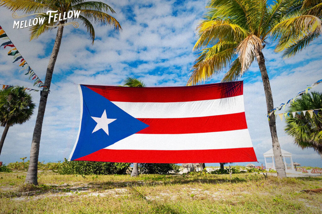 Is CBD Legal in Puerto Rico? (Your Complete 2025 Travel & Shipping Guide) - Mellow Fellow