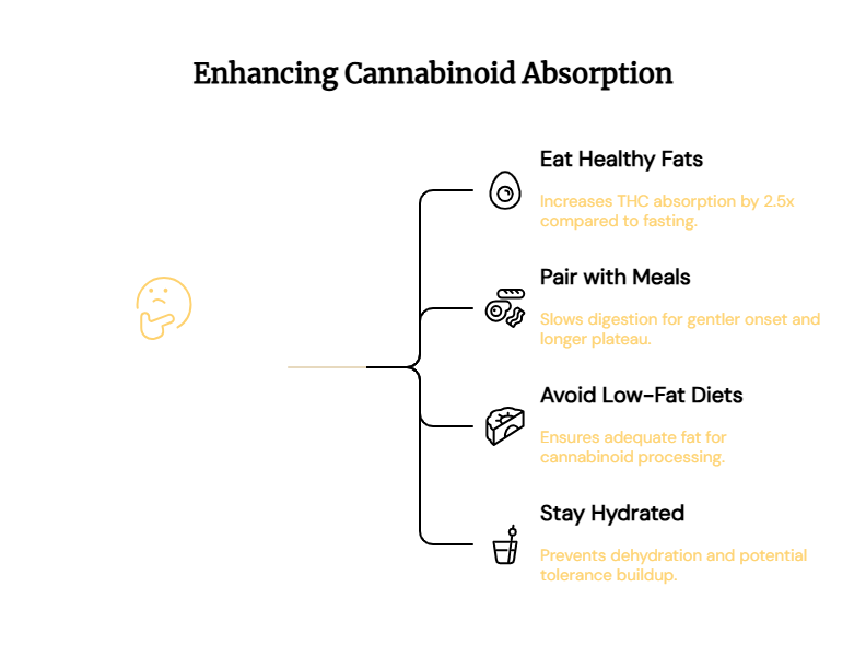 Boost cannabinoid Absoprtion with Fats