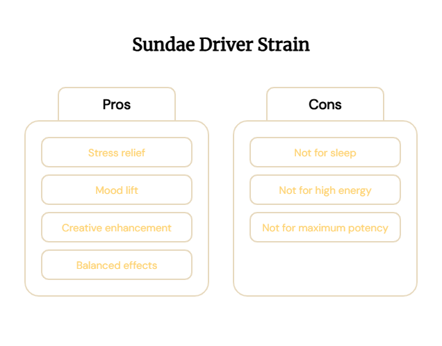 Who Sundae Driver is Best For