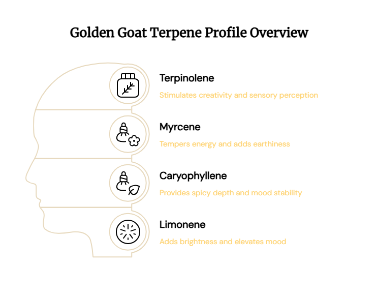 Golden Goat Terpene Profile