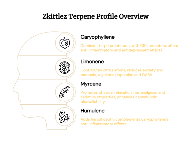 Zkittlez strain terpene profile