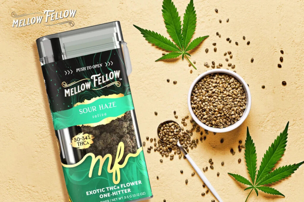 How Is THCa Flower Made: Cultivation, Curing, and Compliance Explained - Mellow Fellow