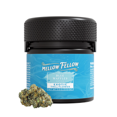 THCa 3.5g Exotic Flower - Blue Waffles (Sativa) - Mellow Fellow
