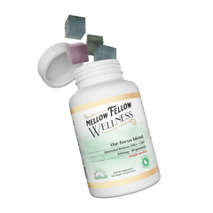 The Focus Blend - 600mg - Tropic Medley - Mellow Fellow