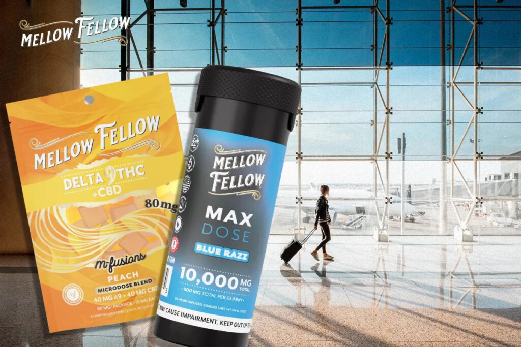 Can You Take Edibles on a Plane? TSA Rules, Real Risks, and Smarter Options - Mellow Fellow
