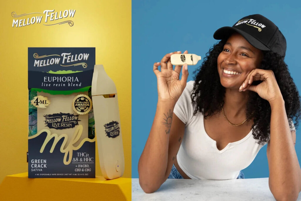 Disposable Vape Subscription: Is a Bi-Monthly Plan Right for You? - Mellow Fellow