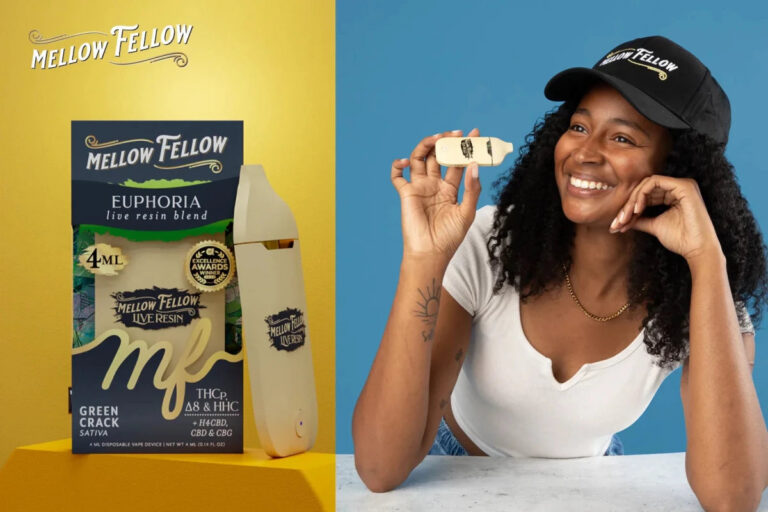 Disposable Vape Subscription: Is a Bi-Monthly Plan Right for You? - Mellow Fellow