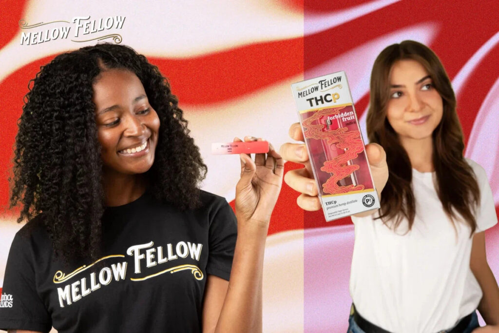 Best THC Vapes: Top THCp Disposables for Potency, Flavor and Effects (2026) - Mellow Fellow