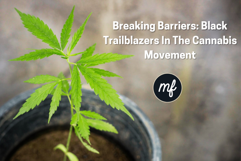 black history month leaders in cannabis industry