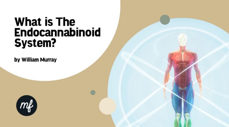 the endocannabinoid system