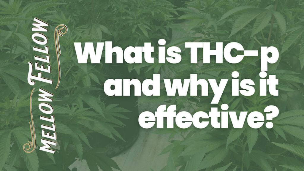 thc-p