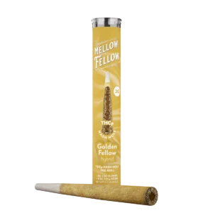 THCp 2g Hash Hole Prerolls - Golden Fellow (Hybrid)