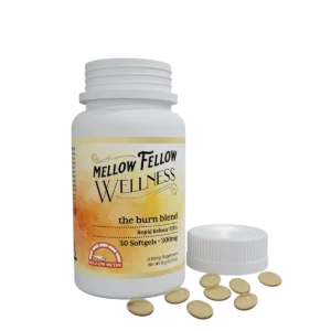The Burn Blend Sofgels - 300mg