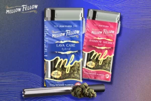 What-Is-Infused-Ground-Flower_-How-It-Differs-From-Whole-Flower-and-Pre-Rolls-2