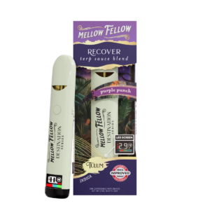 Recover Blend - Terp Sauce 2ml Disposable Vape - Purple Punch (Indica)